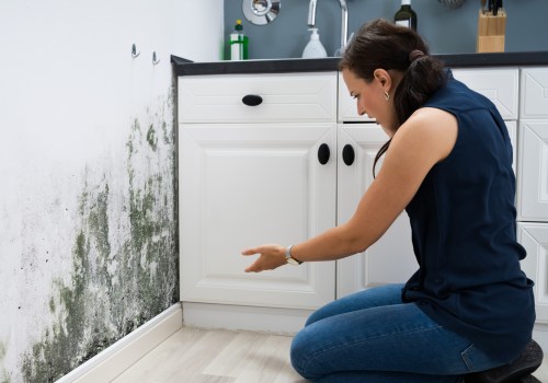 Investing In Lynnwood Apartments: Why Water Damage Restoration Is A Crucial Consideration